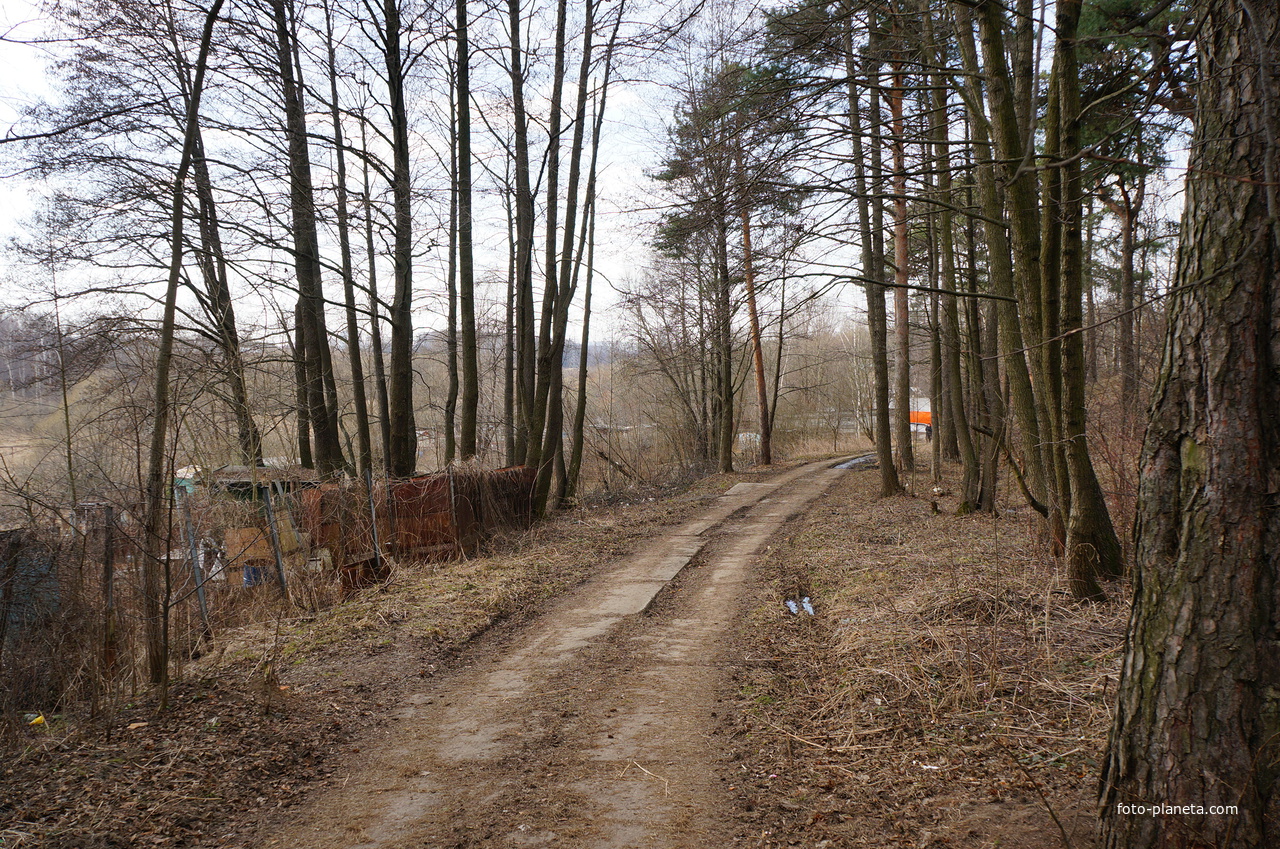 Территория бывшей усадьбы Троицкое на Обитце