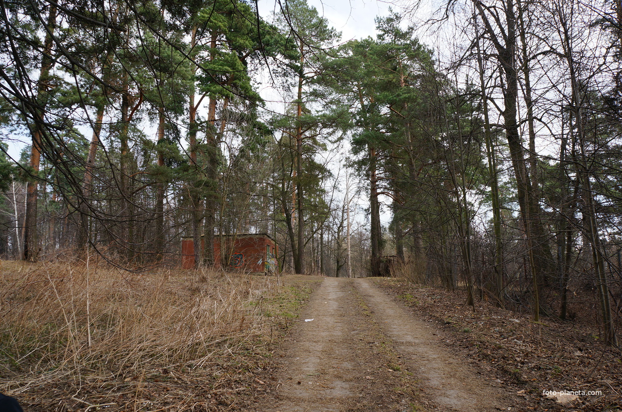 Территория бывшей усадьбы Троицкое на Обитце