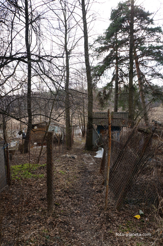 Территория бывшей усадьбы Троицкое на Обитце