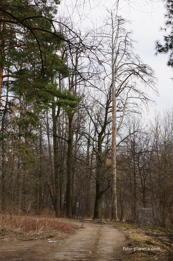 Территория бывшей усадьбы Троицкое на Обитце