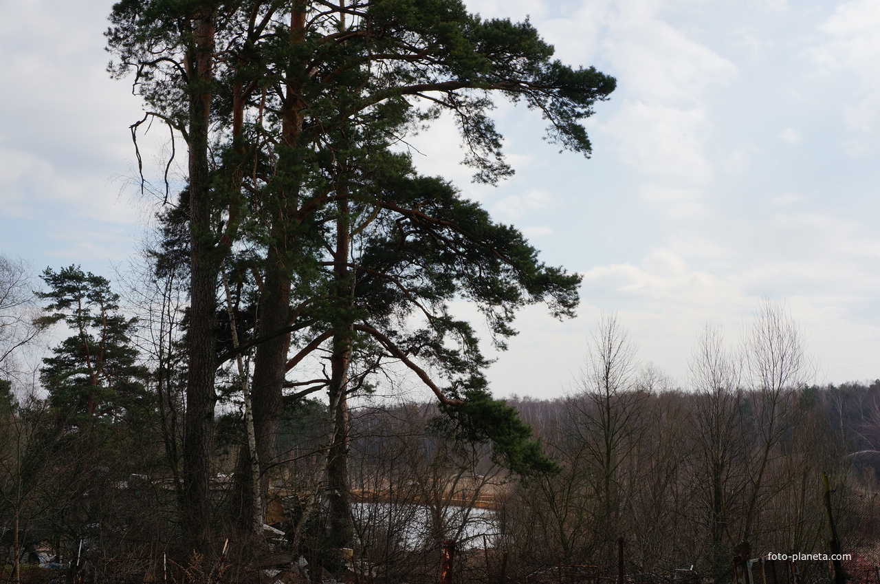 Территория бывшей усадьбы Троицкое на Обитце