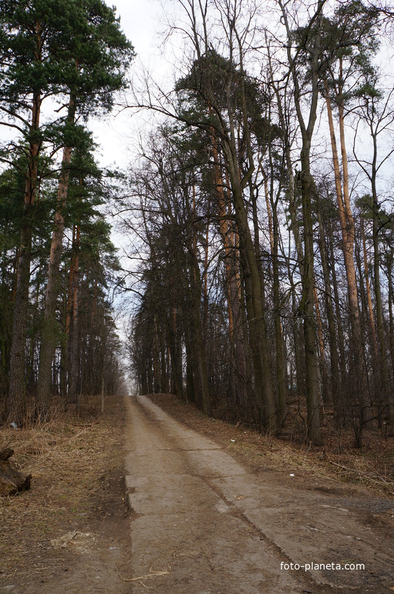 Территория бывшей усадьбы Троицкое на Обитце
