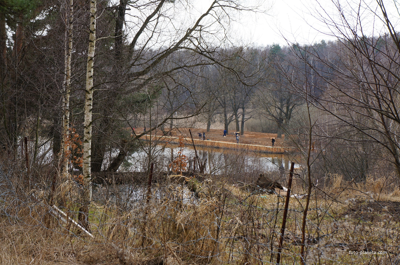 Территория бывшей усадьбы Троицкое на Обитце. Гривненский пруд