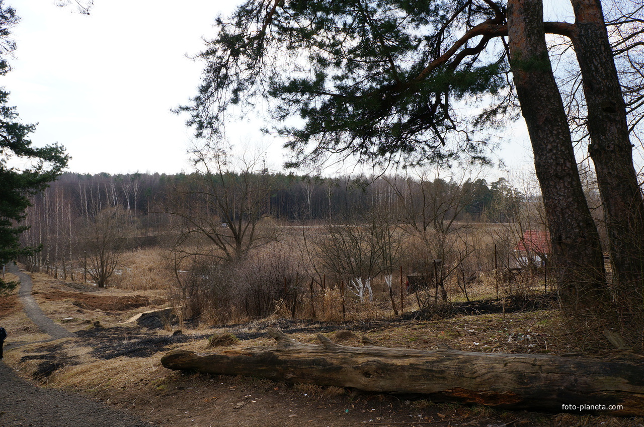 Территория бывшей усадьбы Троицкое на Обитце