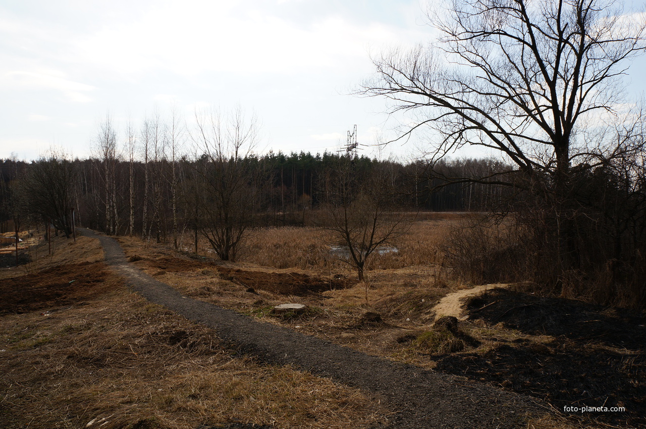 Территория бывшей усадьбы Троицкое на Обитце