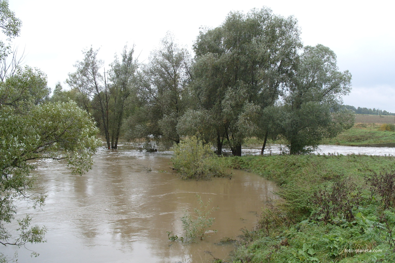 Липитино. р.Каширка.Потоп 31.08.2014года