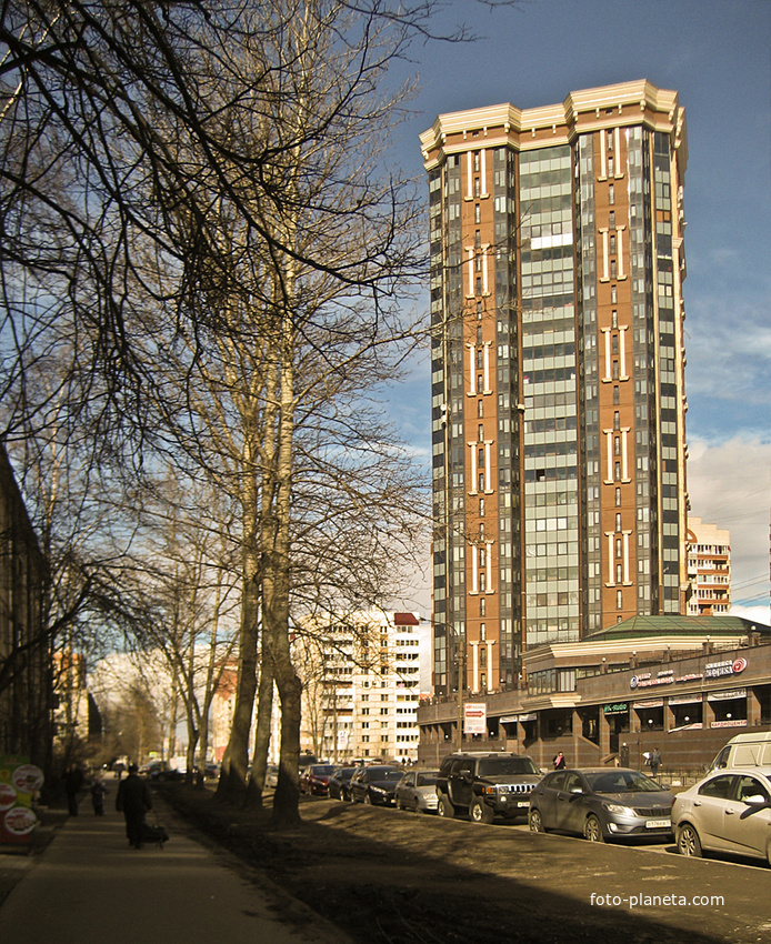 Улица Пулковская