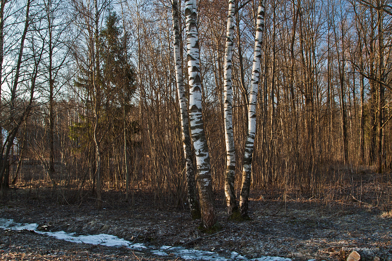 Фермский парк