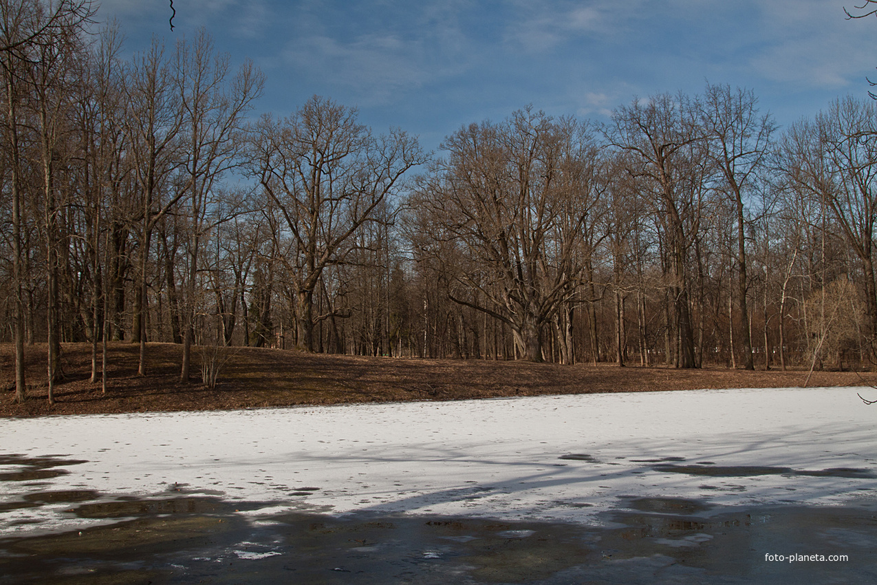 Кухонный пруд