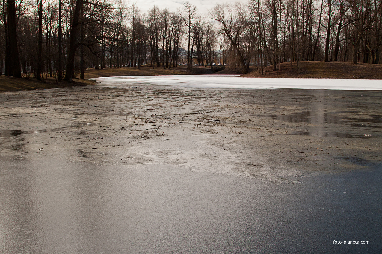 Кухонный пруд