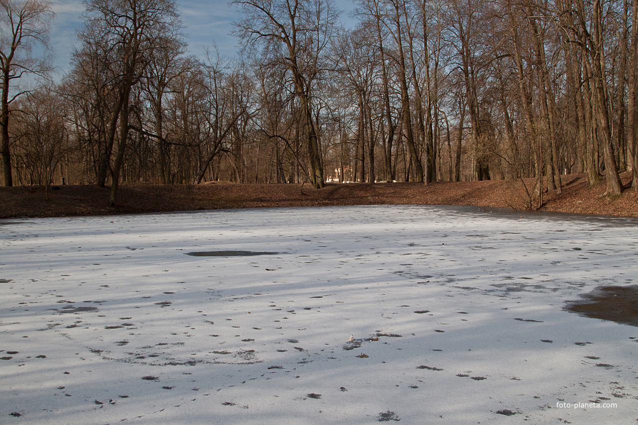 Кухонный пруд