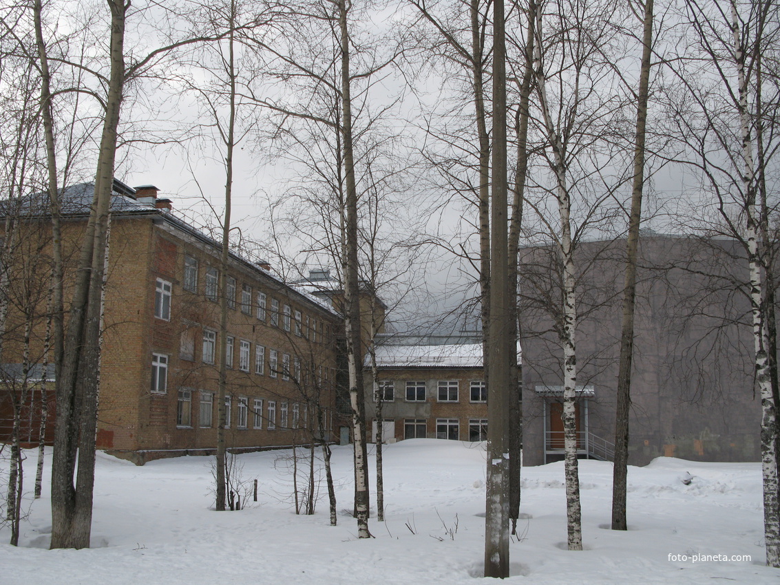 Гимназия 1 сыктывкар. Гимназия номер 1 школа сыктывкар. Маоу гимназия 1 сыктывкар. Гимназия 1 эжва сайт. Гимназия номер 1 школа сыктывкар.