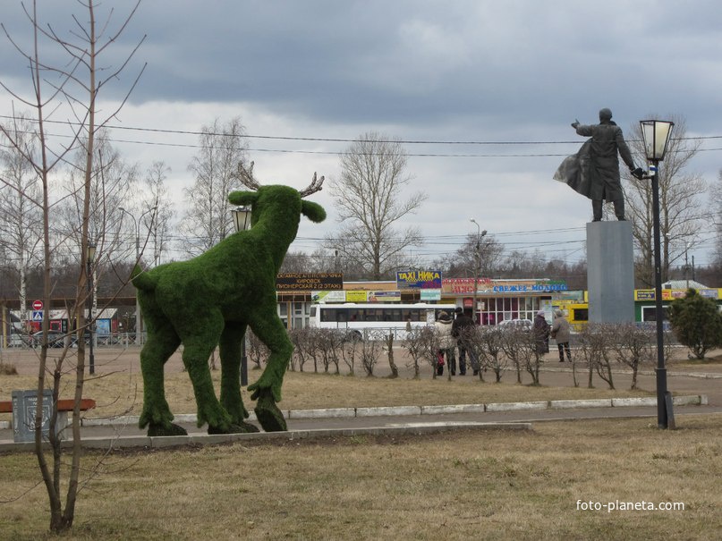 Кировск. Площадь