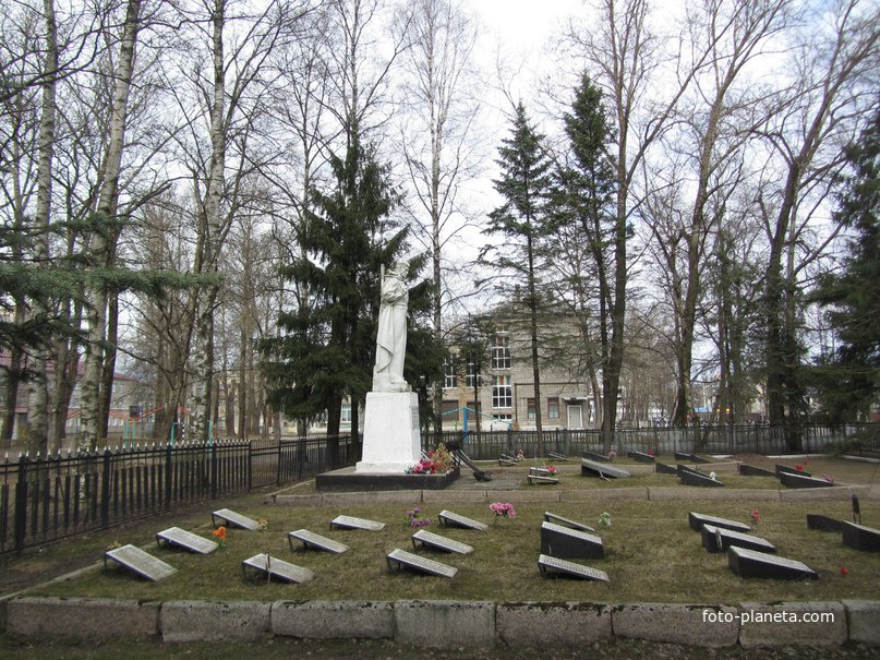 Фото на паспорт кировск лен обл