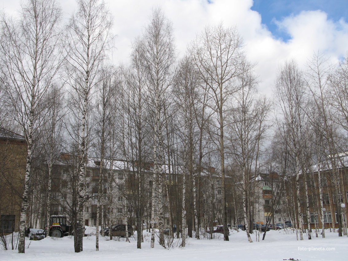 Сыктывкар 2014  - возле школы 1