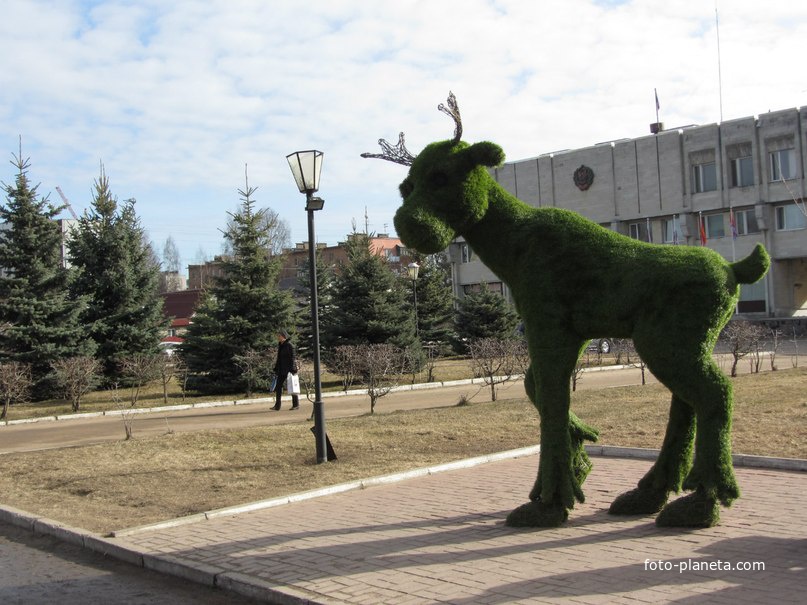 Лосёнок на площади