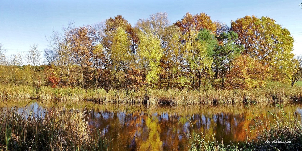 Черниця.Озеро коло Гукового ліска