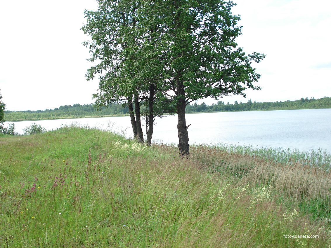 озеро в д.Рубаново (Кониновское)