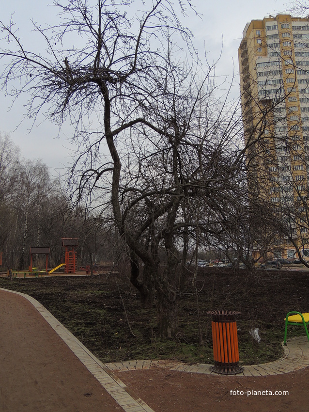 Рекреационная зона &quot;Фруктовый сад&quot; городской поликлиники № 192