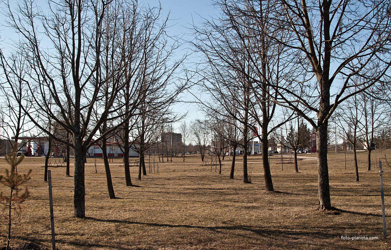 Буферный парк