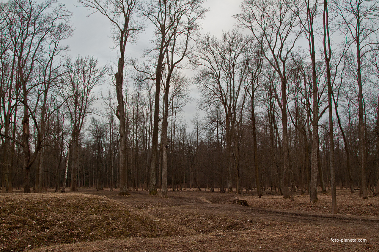 Александровский парк
