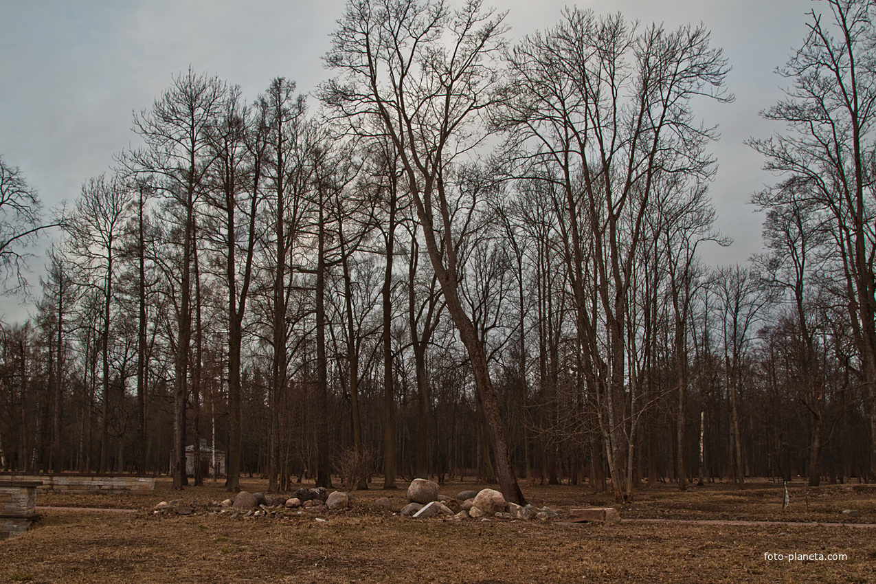 Александровский парк