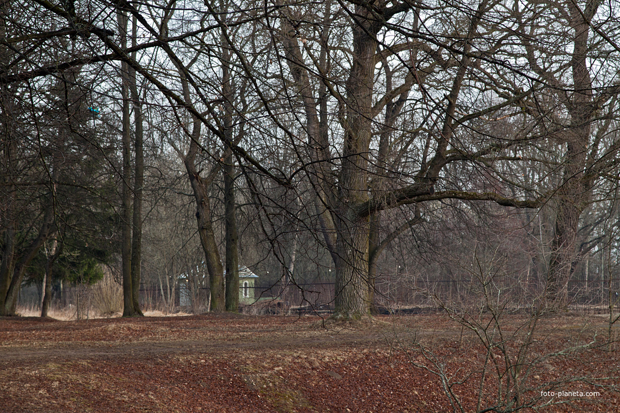 Александровский парк