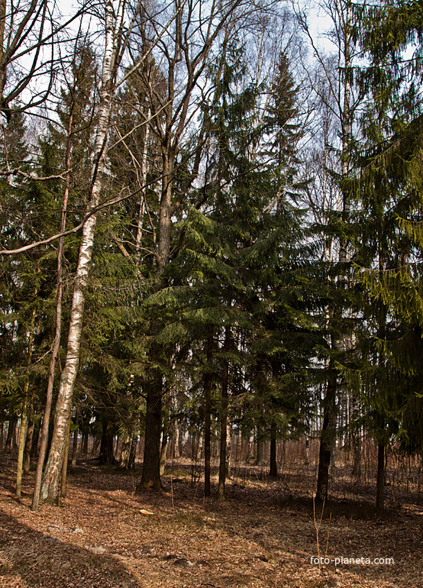 Александровский парк