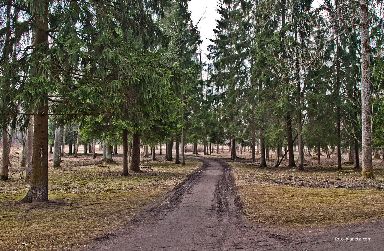 Александровский парк