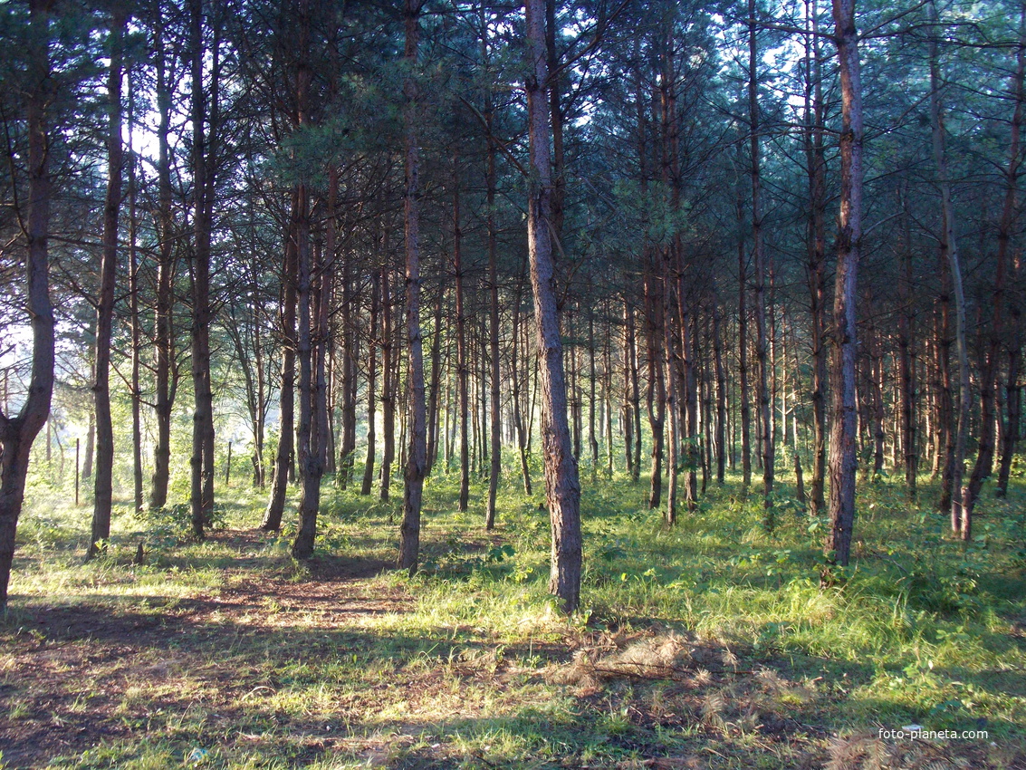 рассвет в Оселе