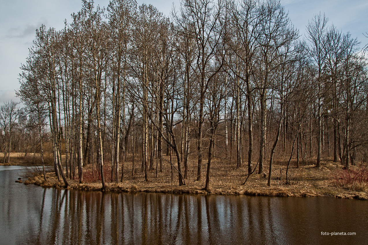 Александровский парк