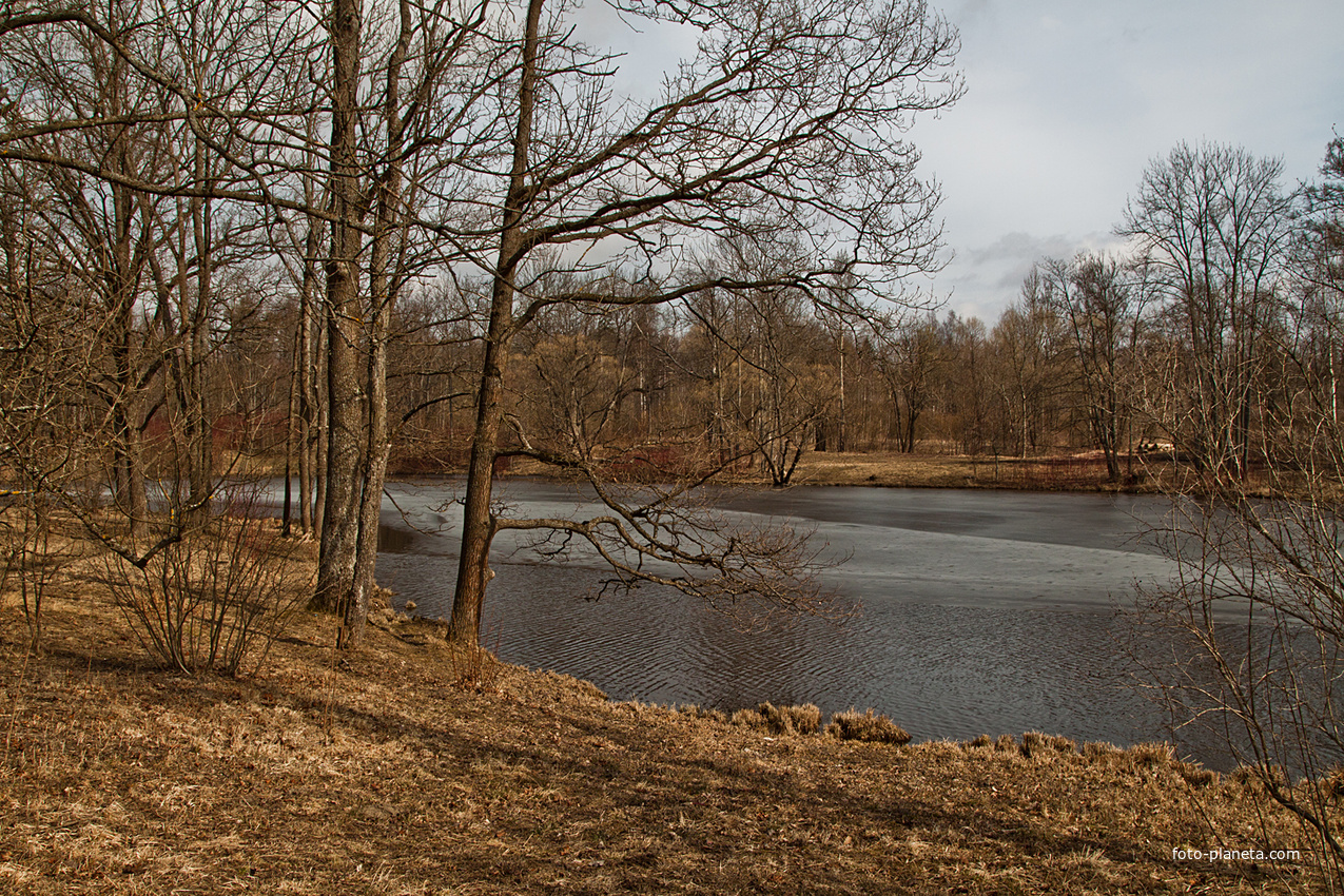 Нижний Ламский пруд