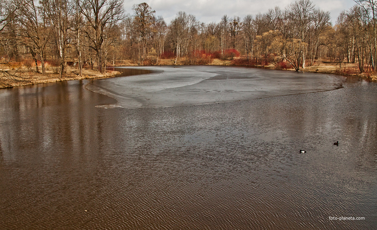 Нижний Ламский пруд