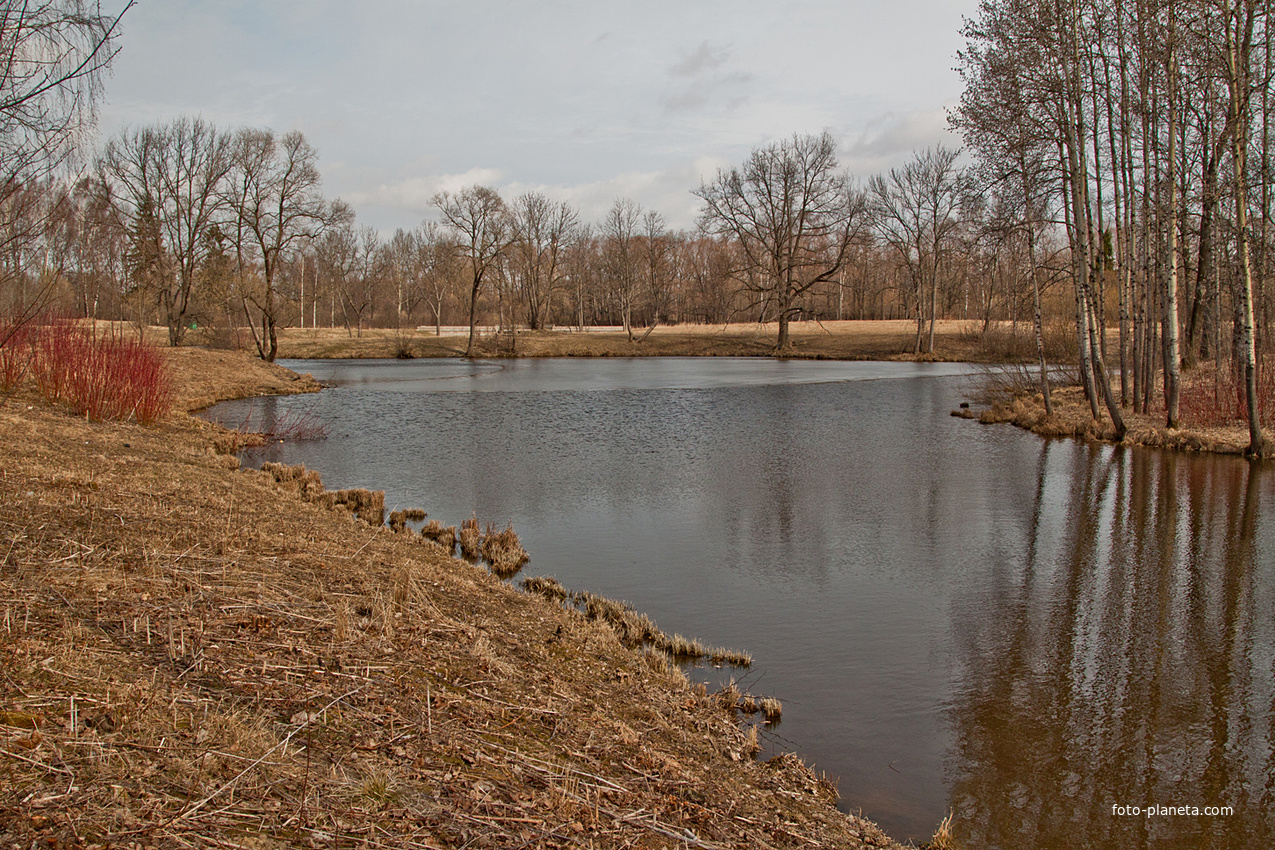 Нижний Ламский пруд