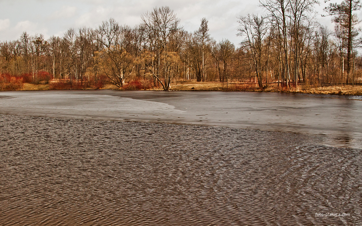 Нижний Ламский пруд