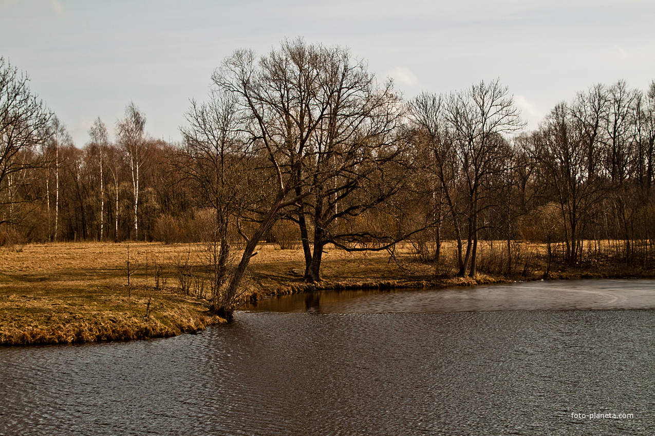 Александровский парк