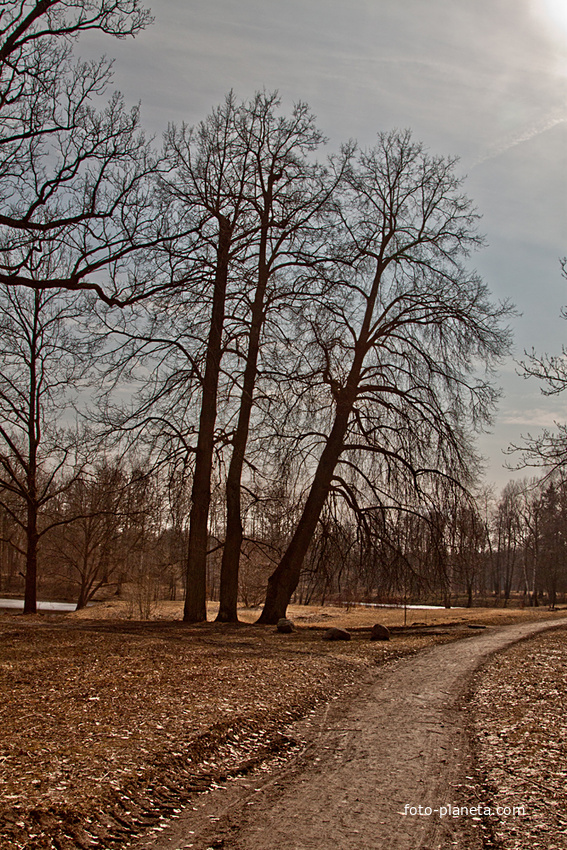 Александровский парк