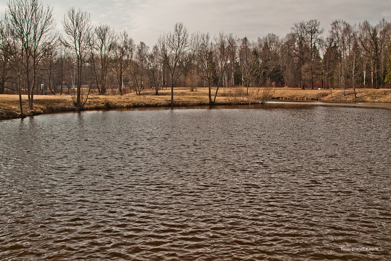 Нижний Ламский пруд