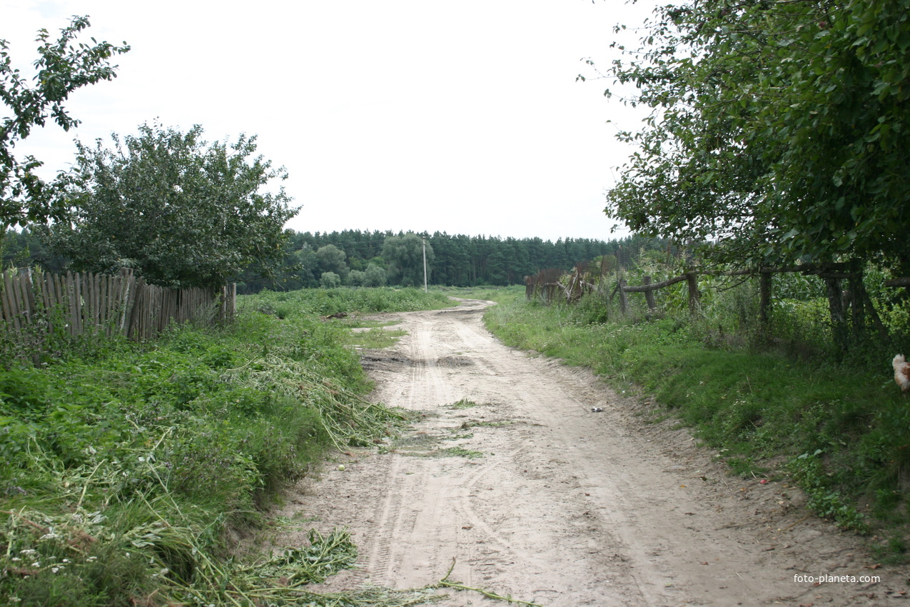 Улица Павловая