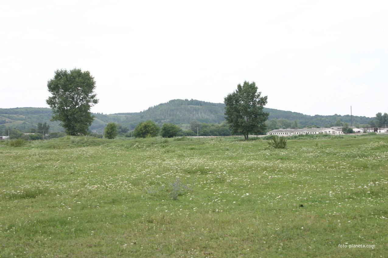 Гора Лысоха, ферма на лугу