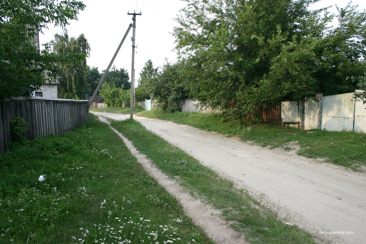 Павловая улица