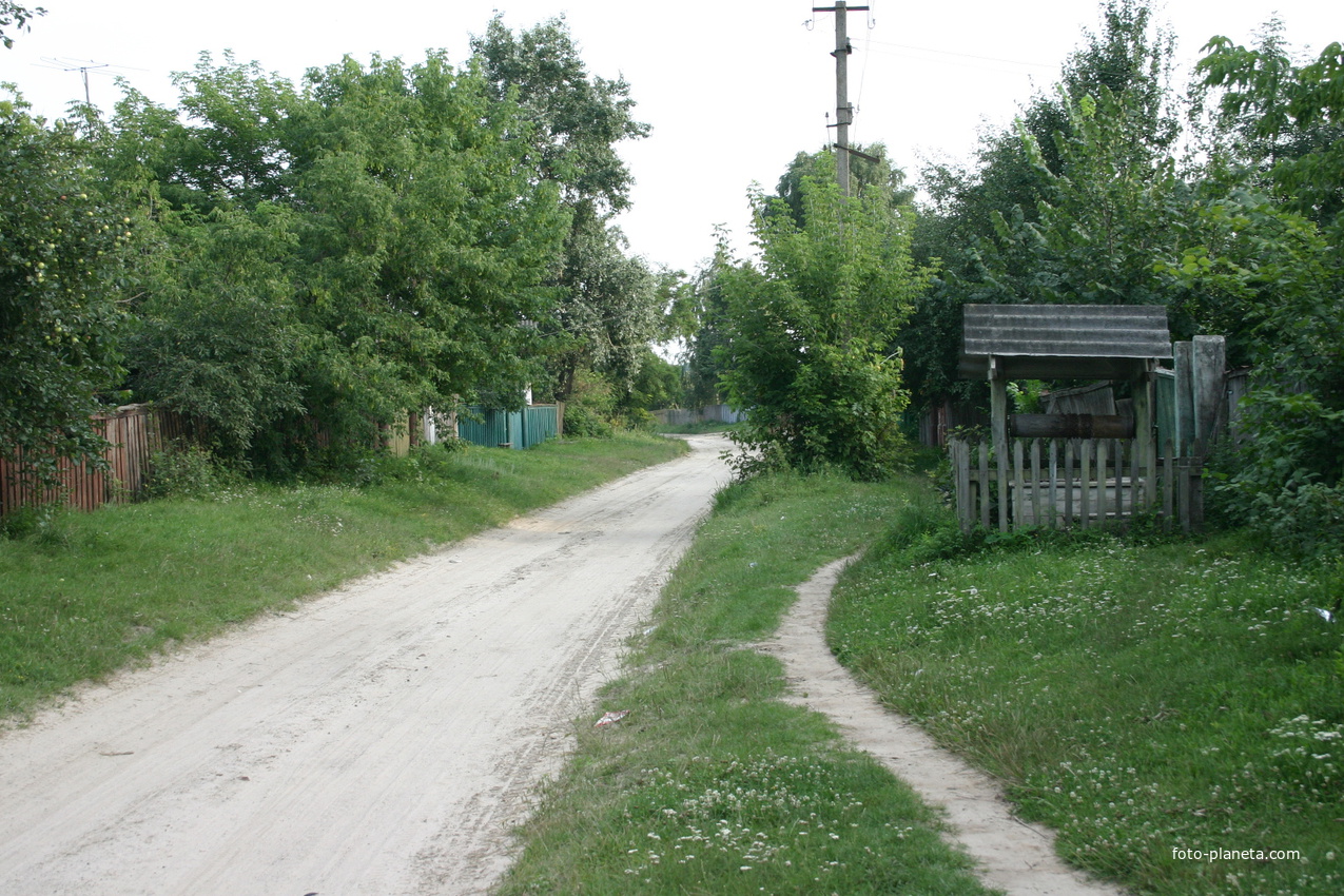 Михайловка, улица Павловая