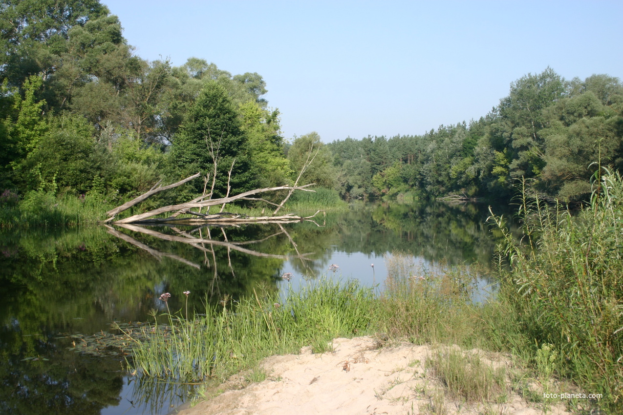 Михайловка, Псёл