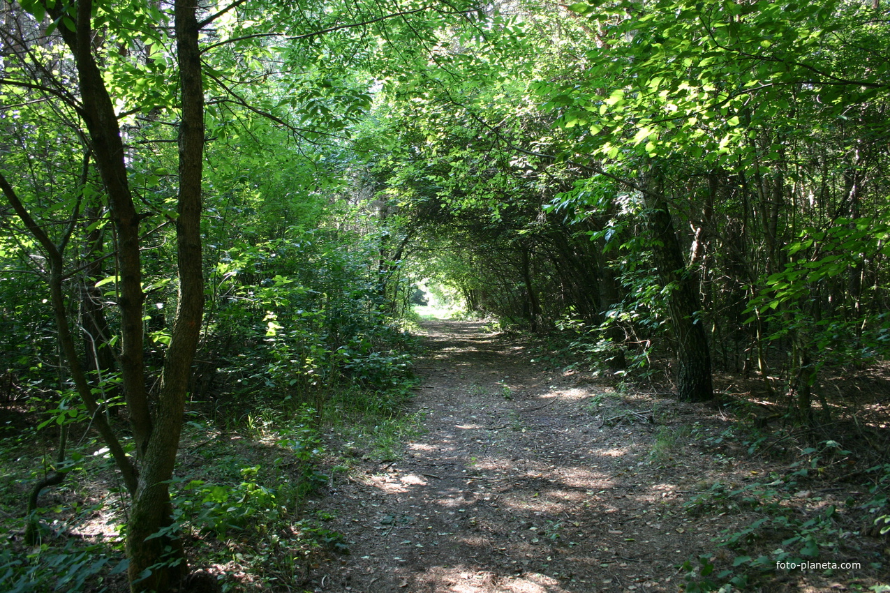 Михайловка