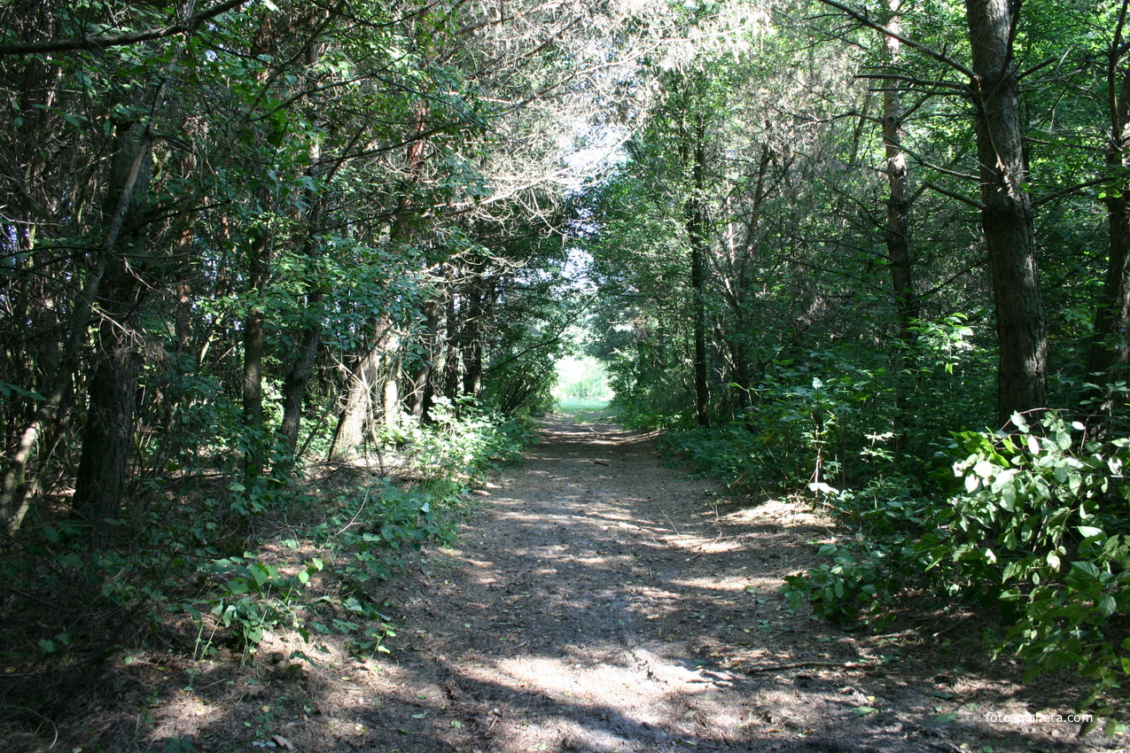 Михайловка