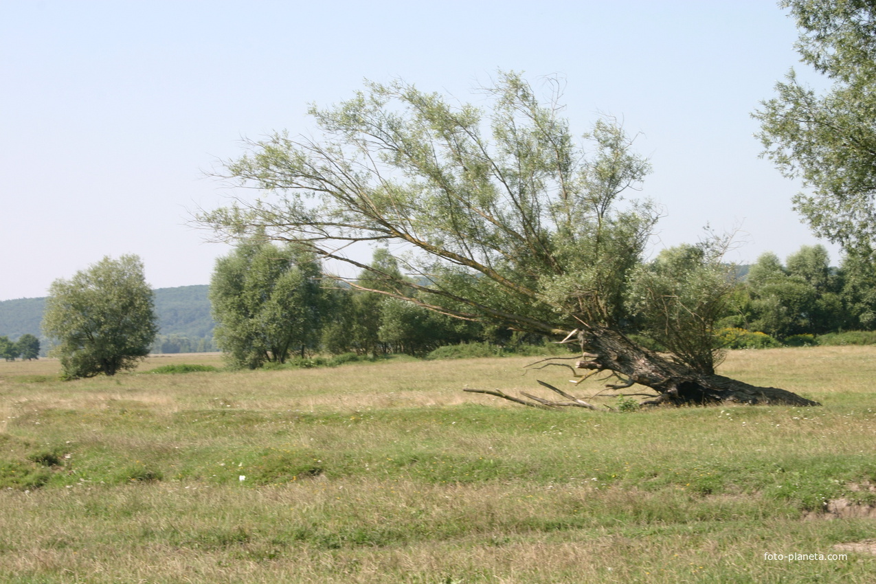 Михайловка