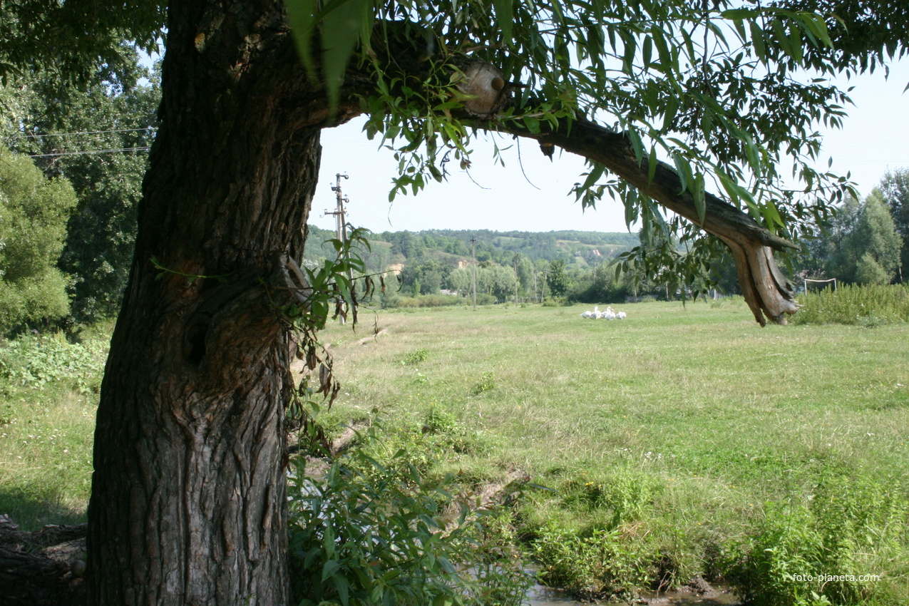 Михайловка