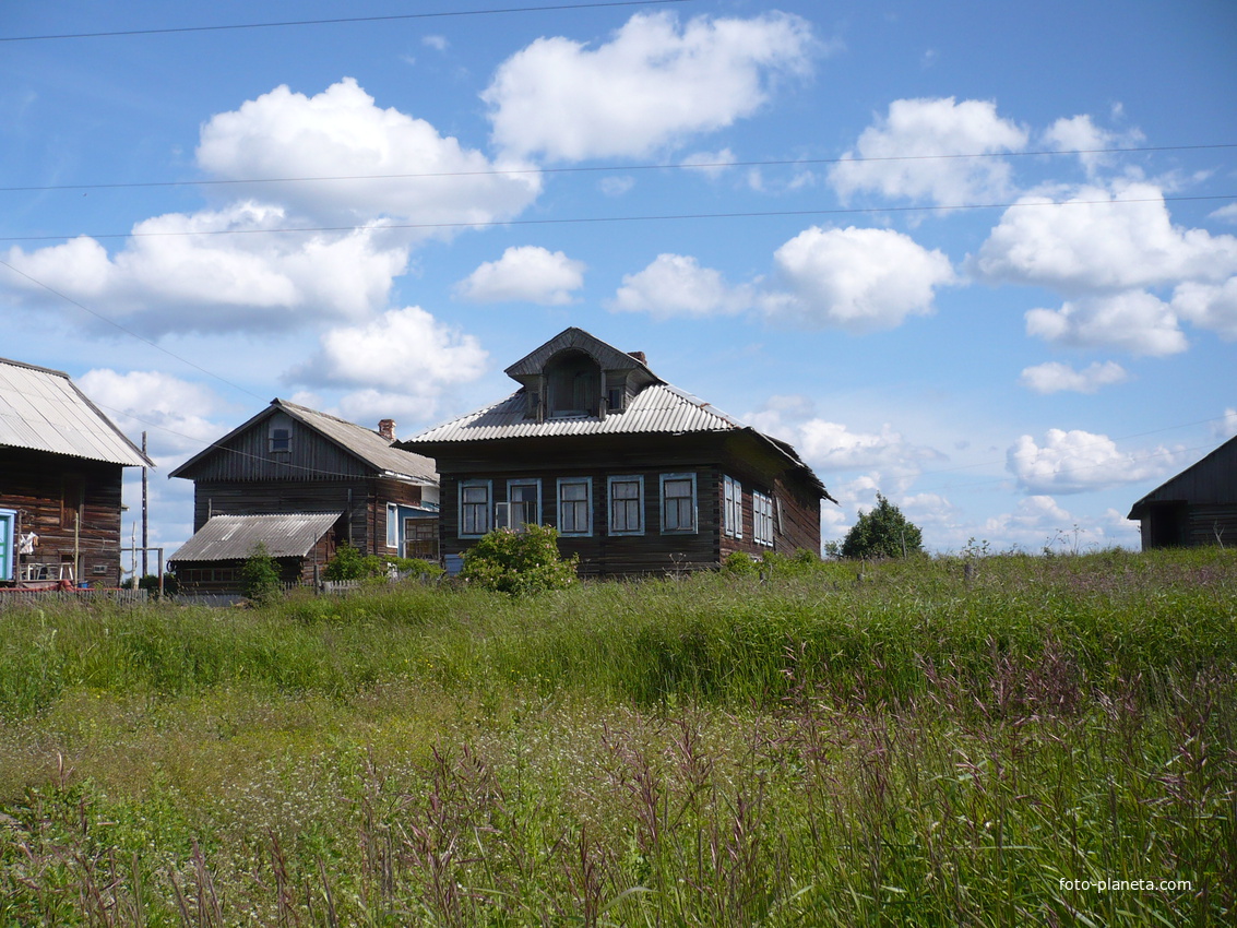На улице Туманок в деревне Сапушкино.