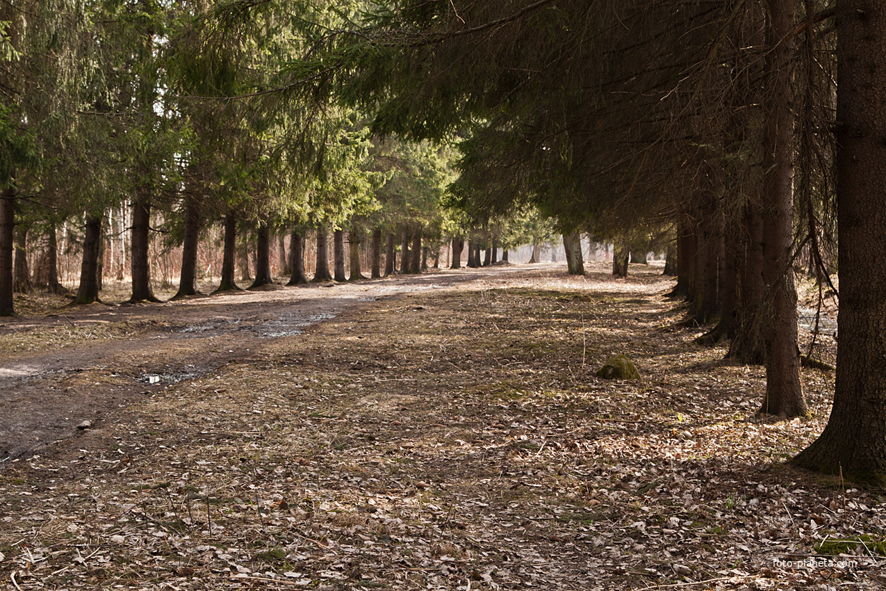Александровский парк