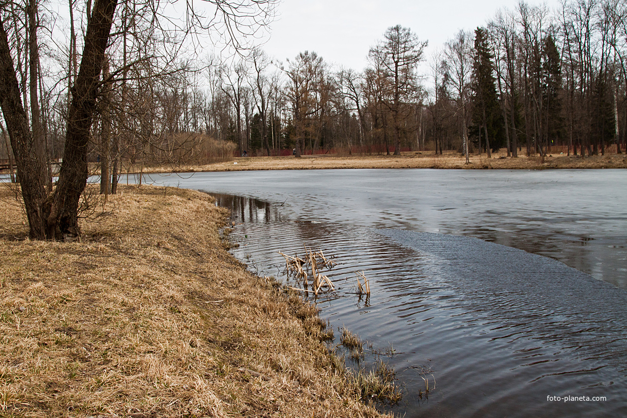 Верхний Ламский пруд